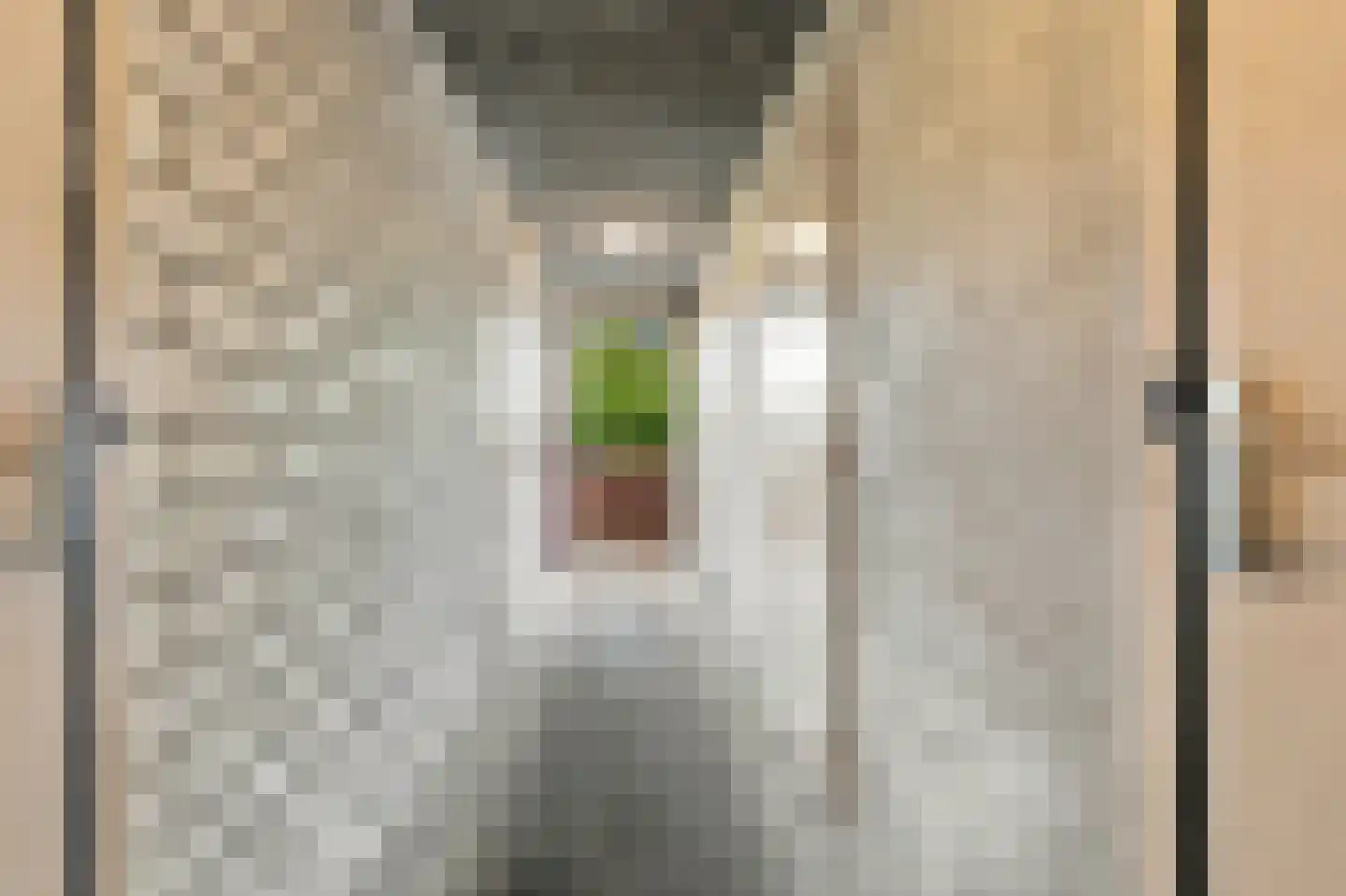 Selde Rust 25 43 Amstelveen thumbnail 21