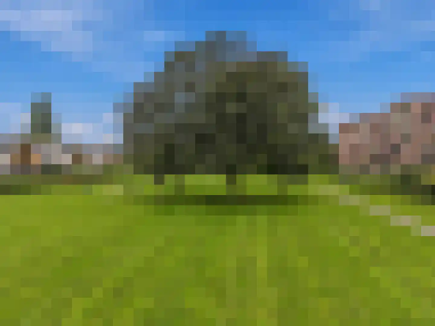 Selde Rust 25 43 Amstelveen thumbnail 22