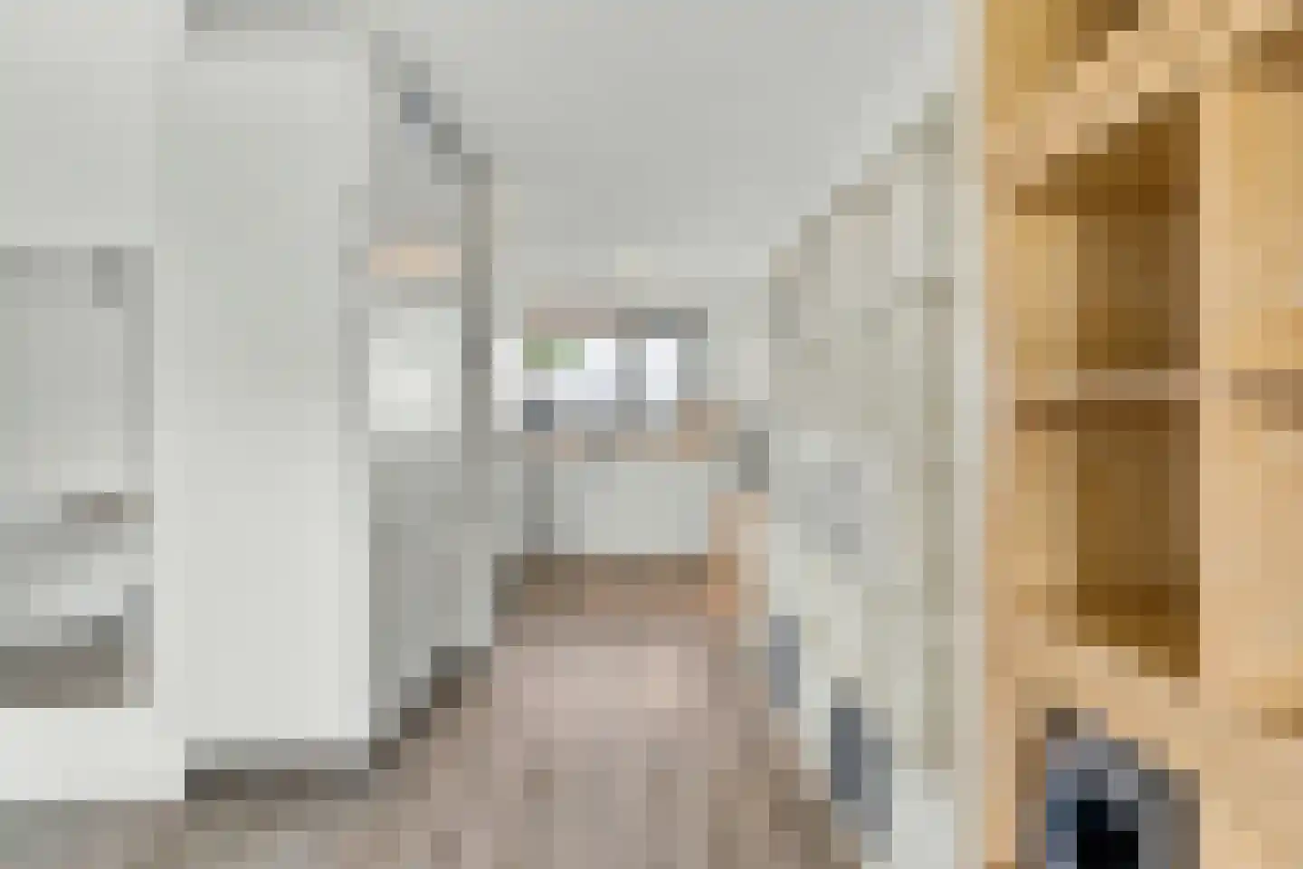Selde Rust 25 43 Amstelveen thumbnail 8