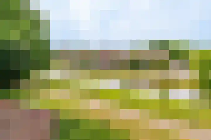 Selde Rust 27 33 Amstelveen thumbnail 16
