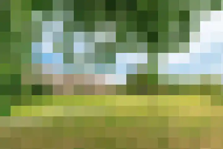 Selde Rust 27 33 Amstelveen thumbnail 27