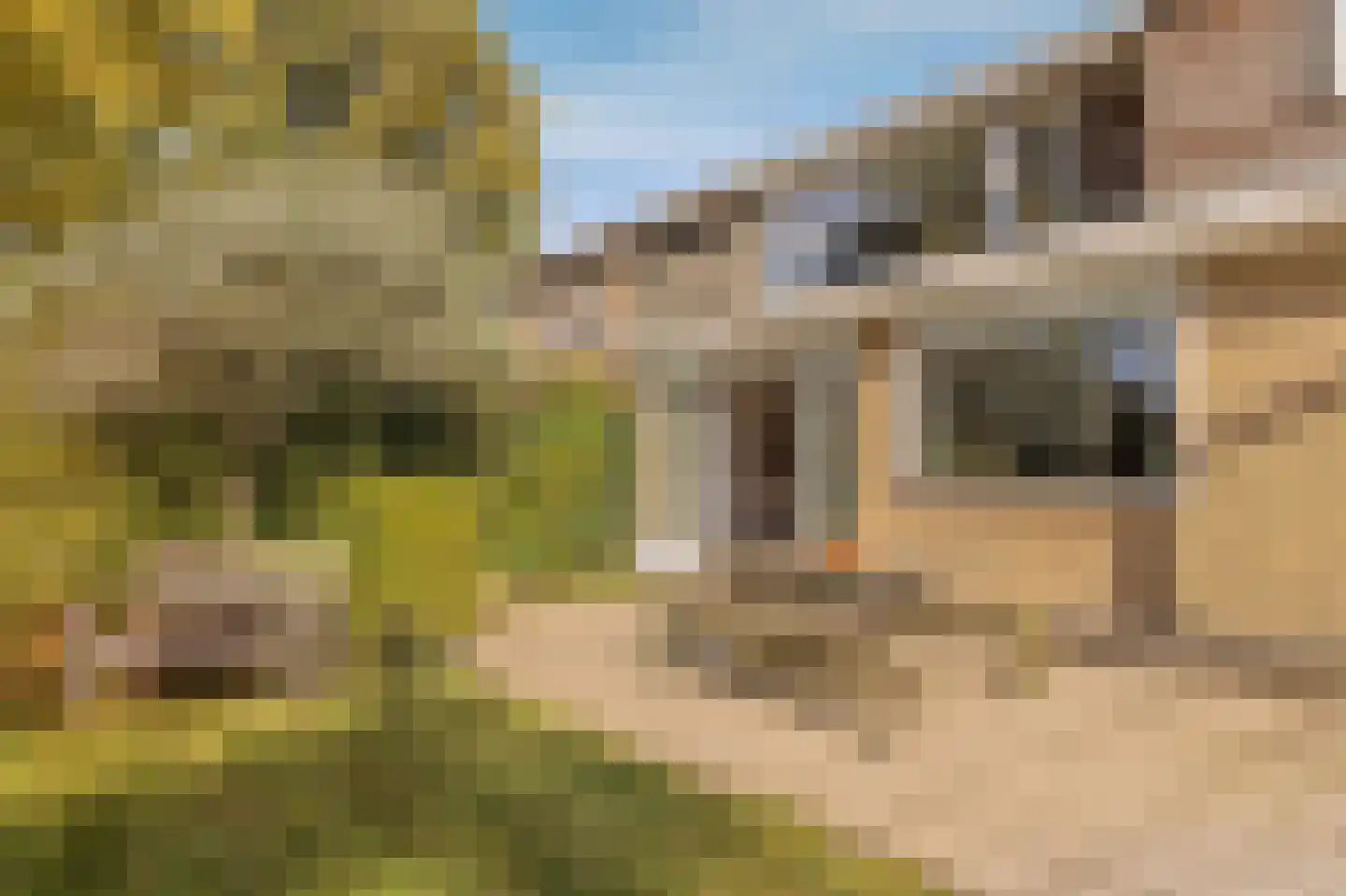 Selde Rust 37 Amstelveen thumbnail 15
