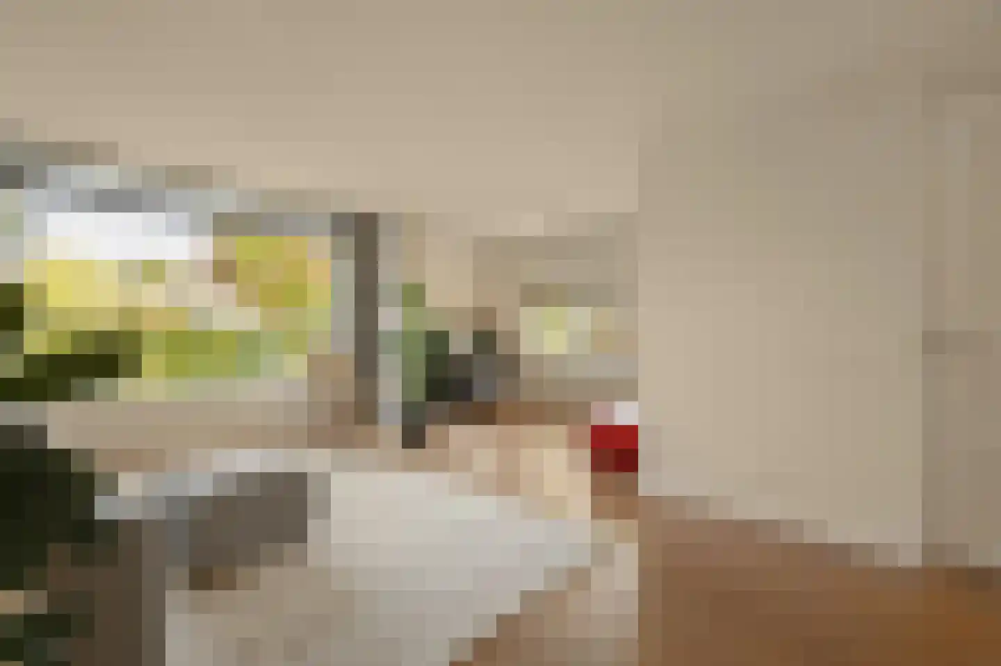 Selde Rust 37 Amstelveen thumbnail 19