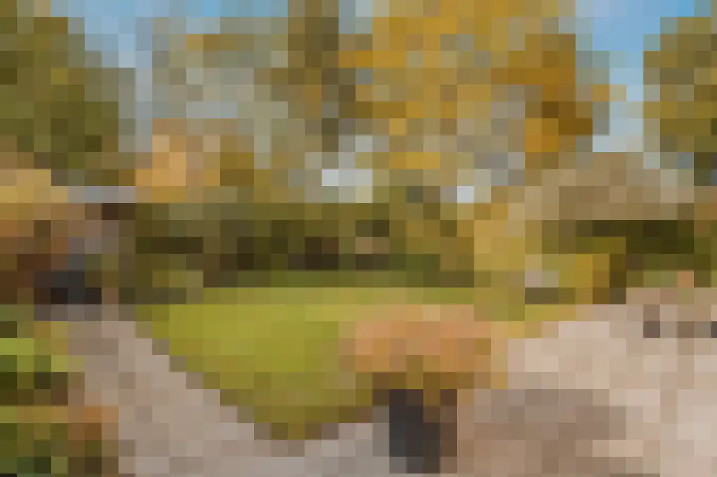Selde Rust 37 Amstelveen thumbnail 25