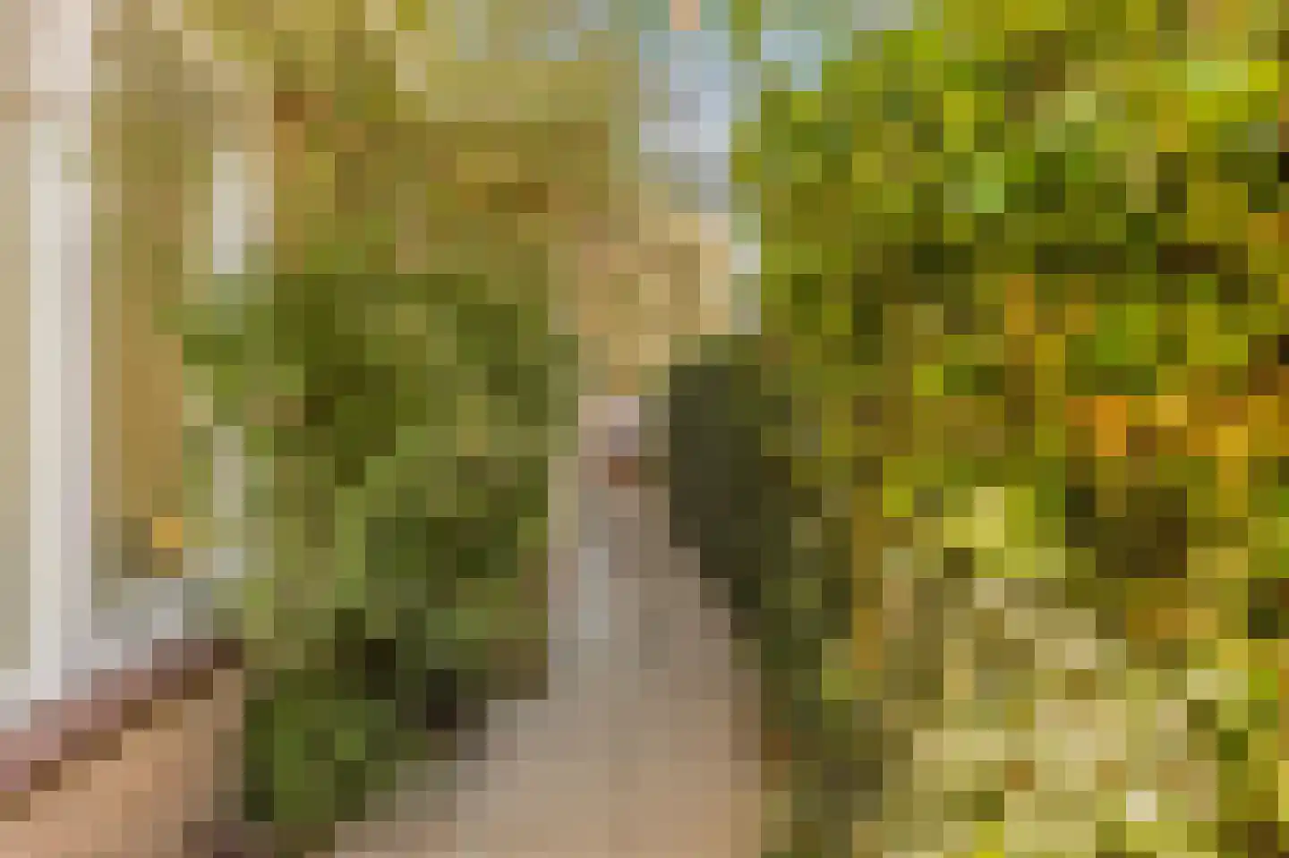 Selde Rust 37 Amstelveen thumbnail 33