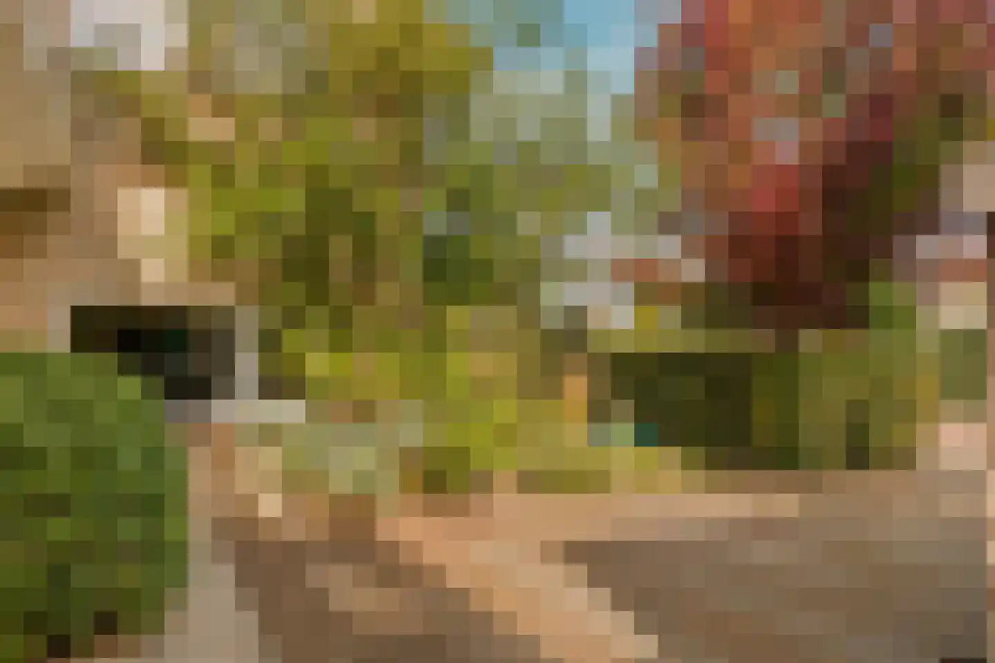 Selde Rust 37 Amstelveen thumbnail 35