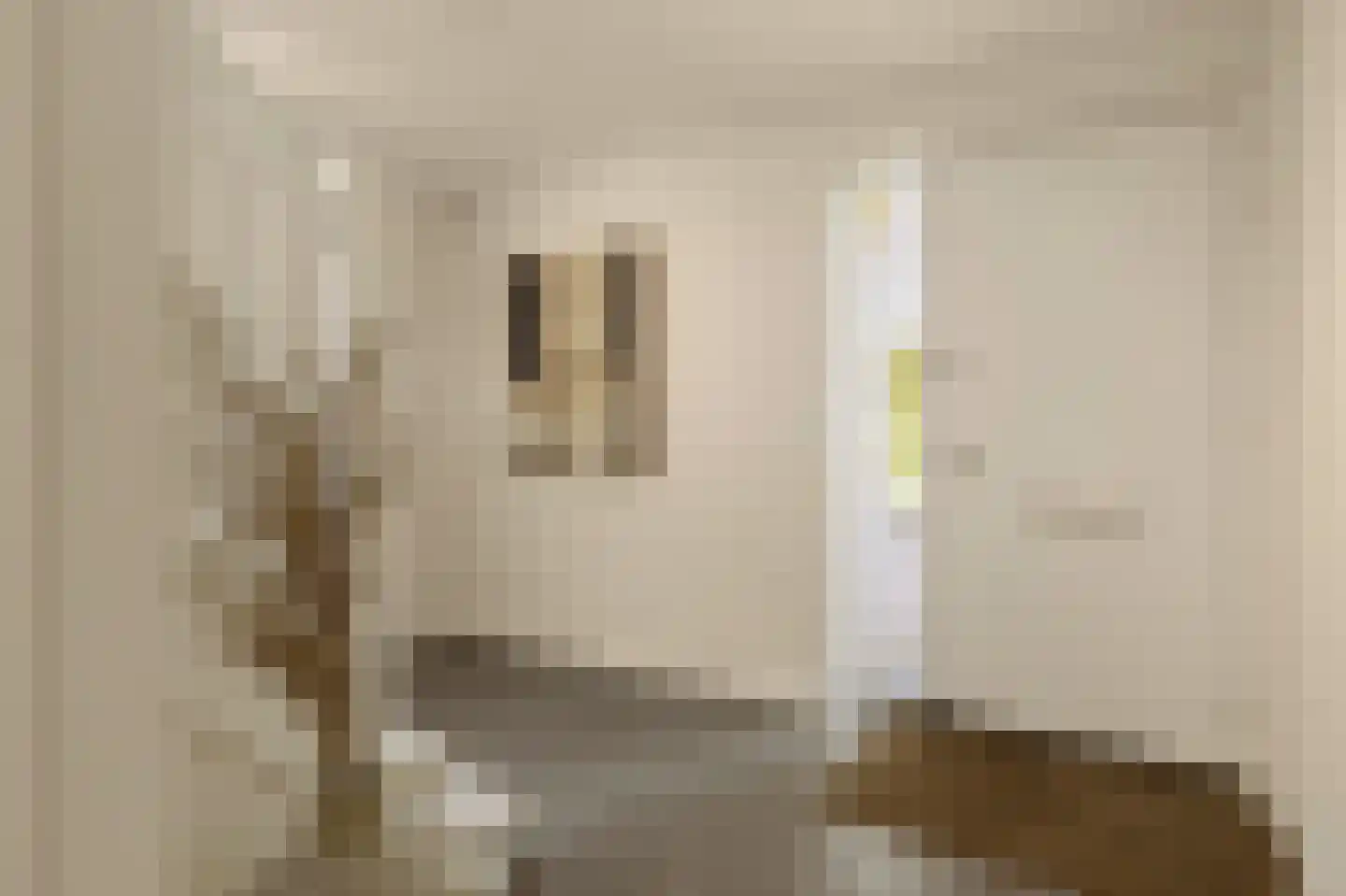 Selde Rust 37 Amstelveen thumbnail 37