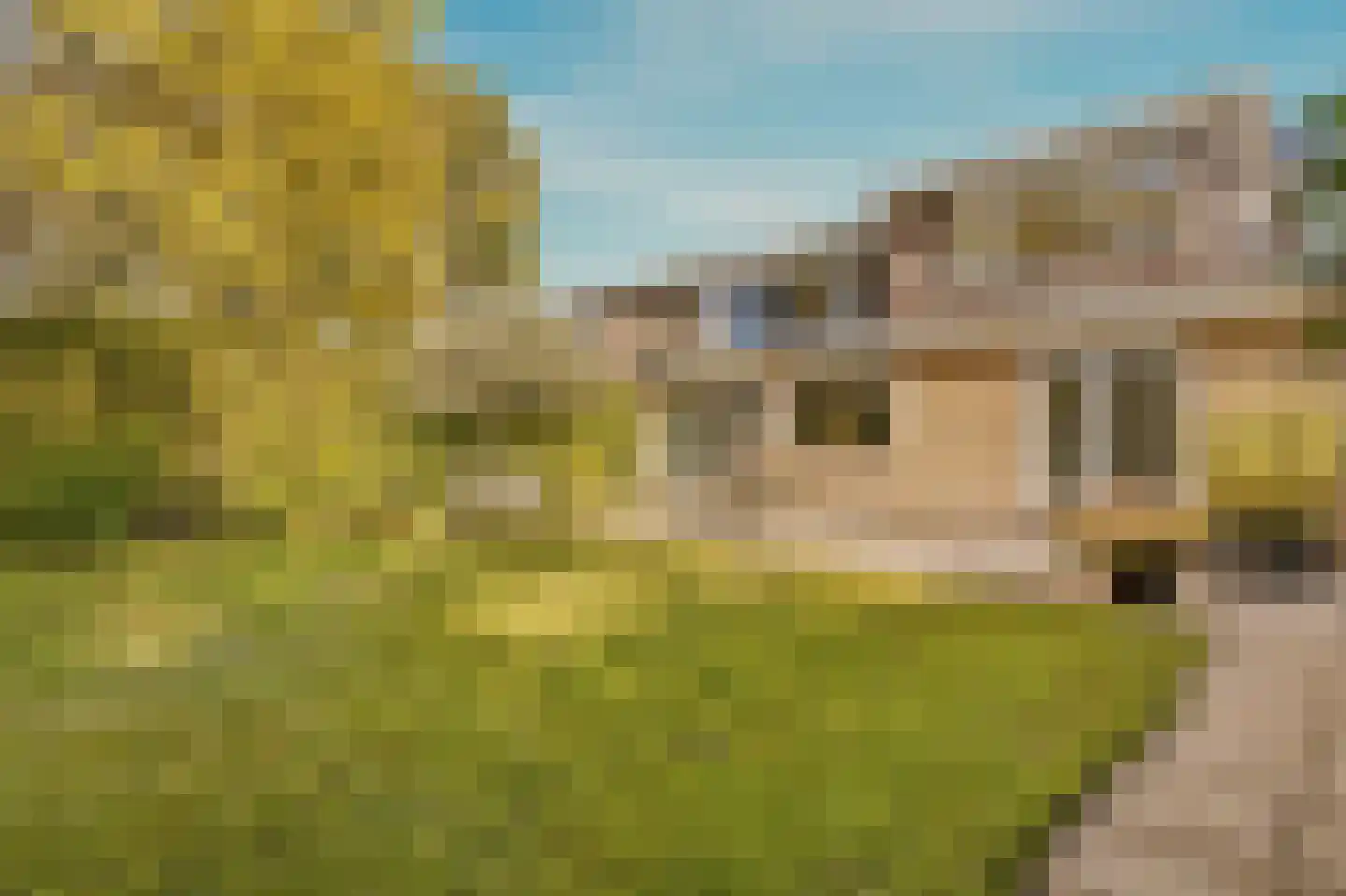 Selde Rust 37 Amstelveen thumbnail 4
