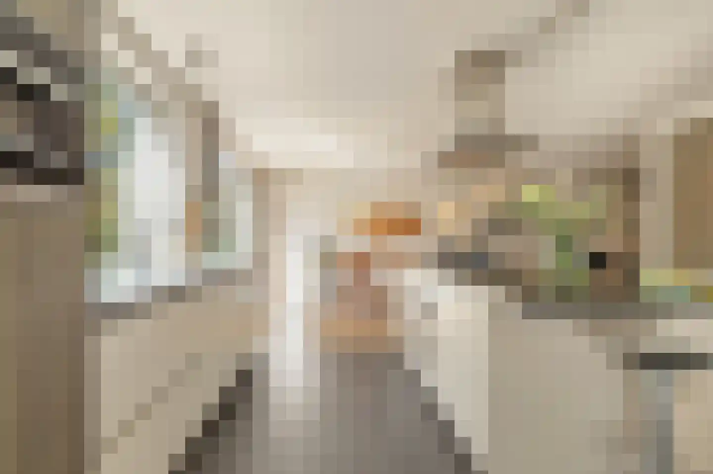 Selde Rust 37 Amstelveen thumbnail 8