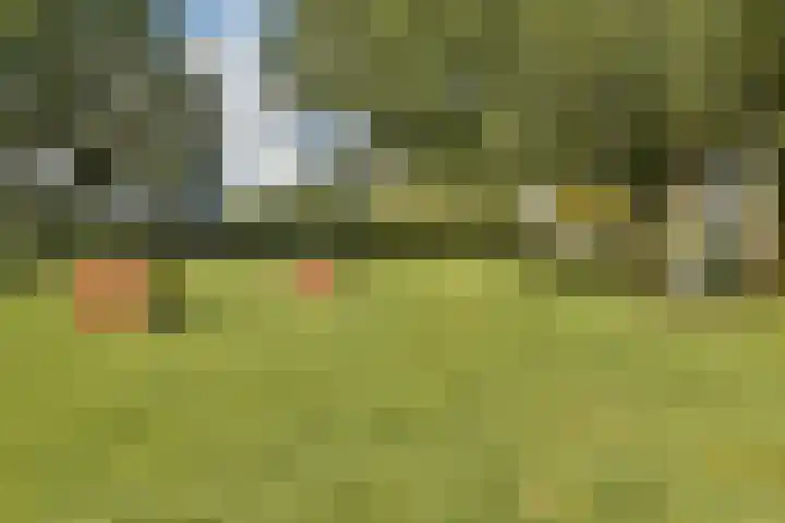 Selde Rust 7 Amstelveen thumbnail 27