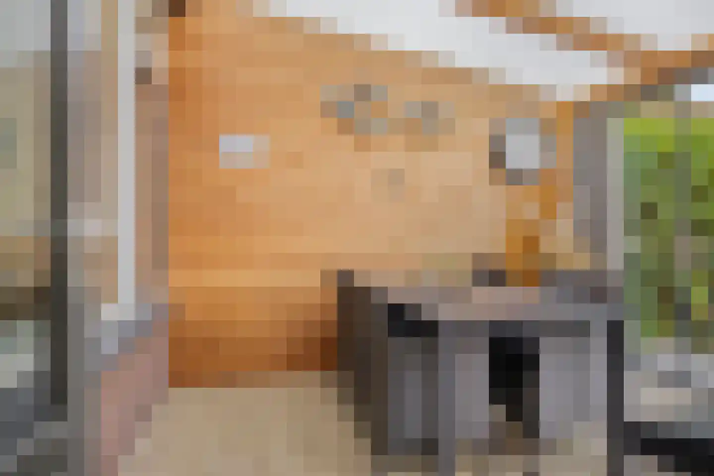 Seldensate 29 's-Hertogenbosch thumbnail 13