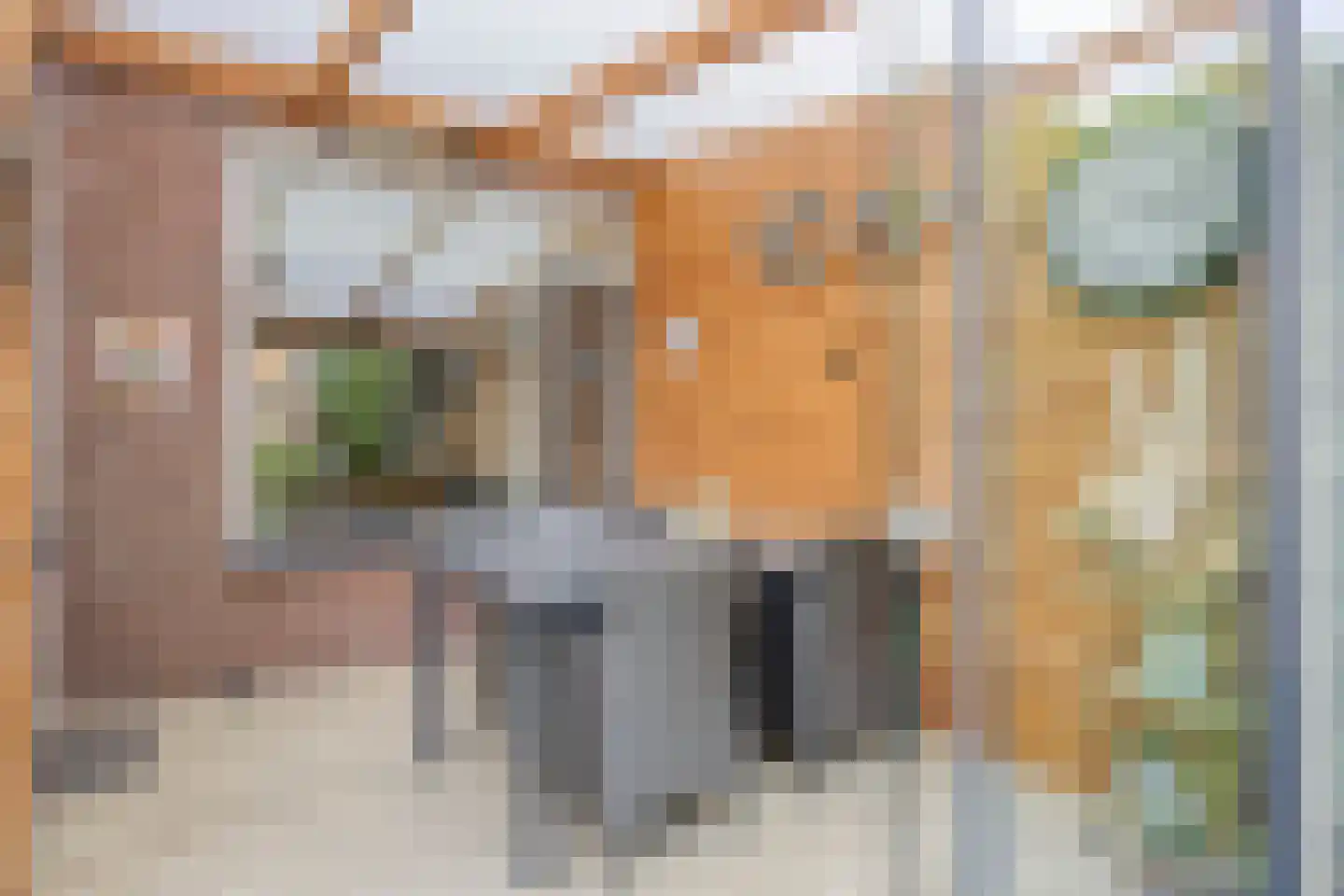 Seldensate 29 's-Hertogenbosch thumbnail 14