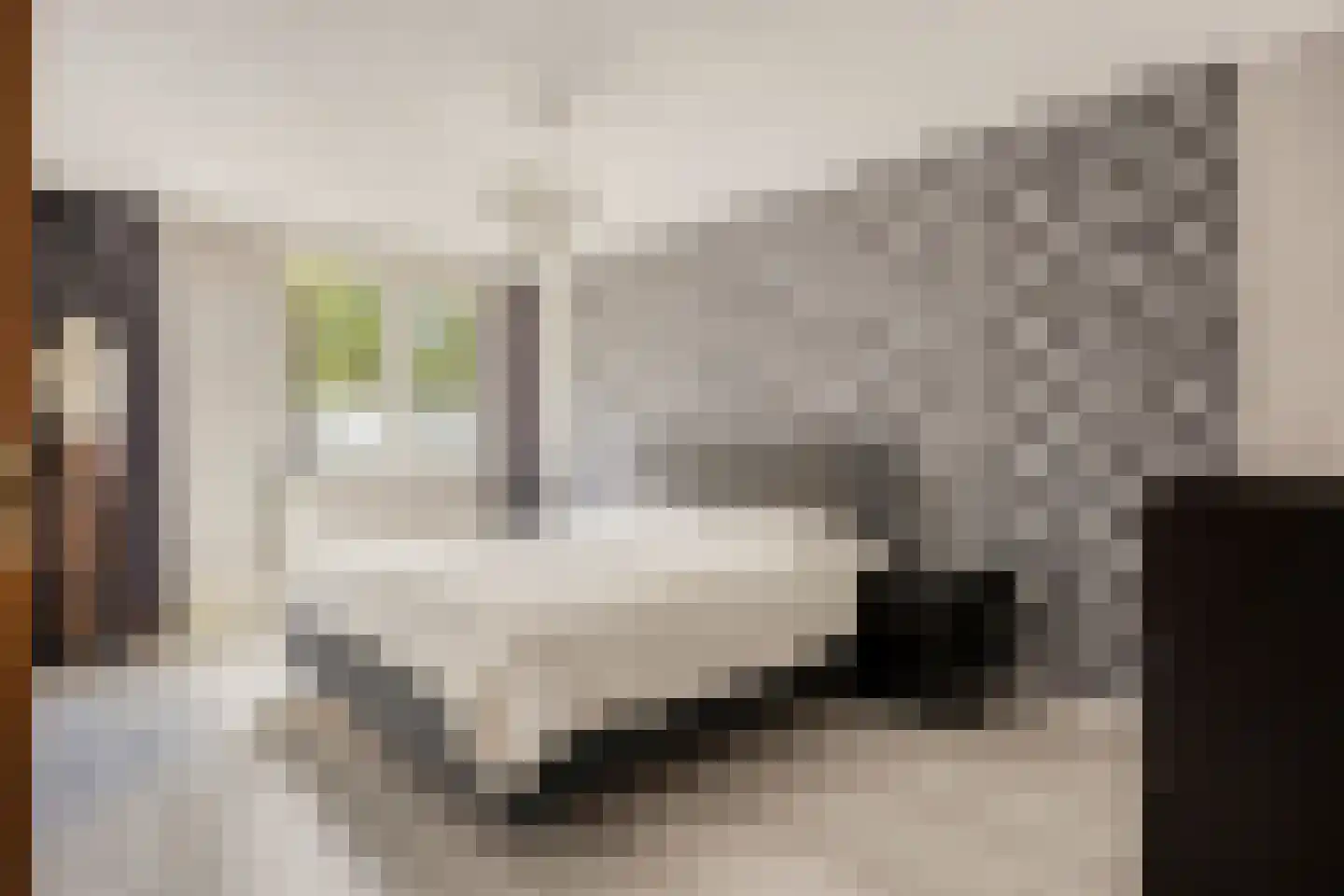 Seldensate 29 's-Hertogenbosch thumbnail 17