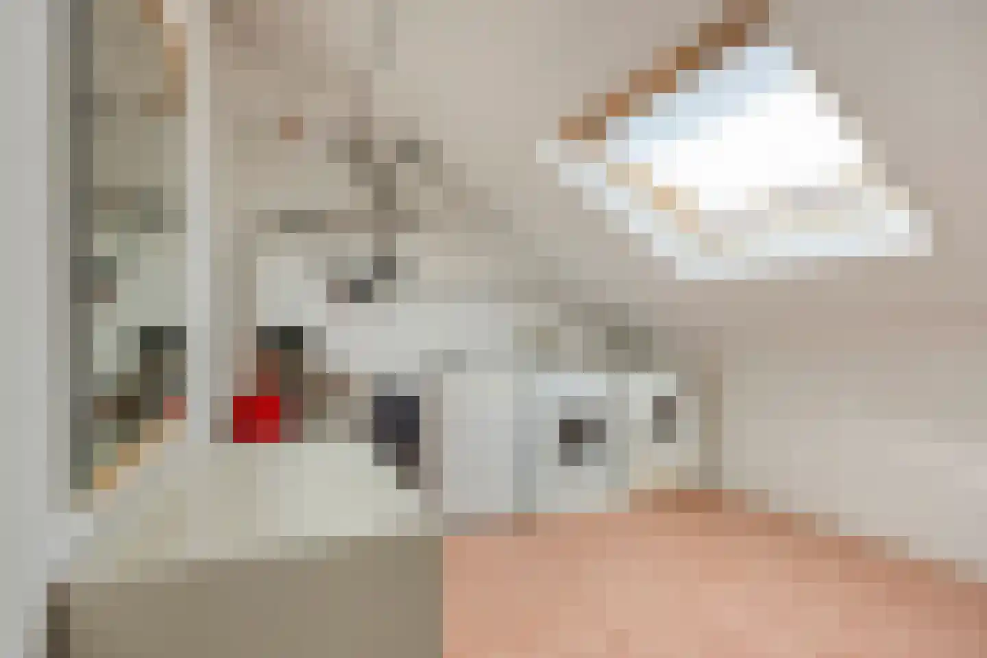 Seldensate 29 's-Hertogenbosch thumbnail 27