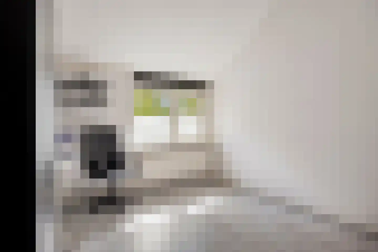 Seldensate 29 's-Hertogenbosch thumbnail 28