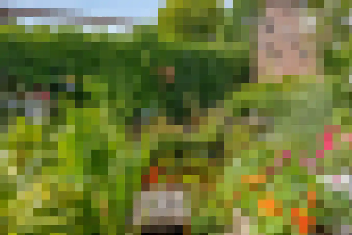 Seldensate 29 's-Hertogenbosch thumbnail 35