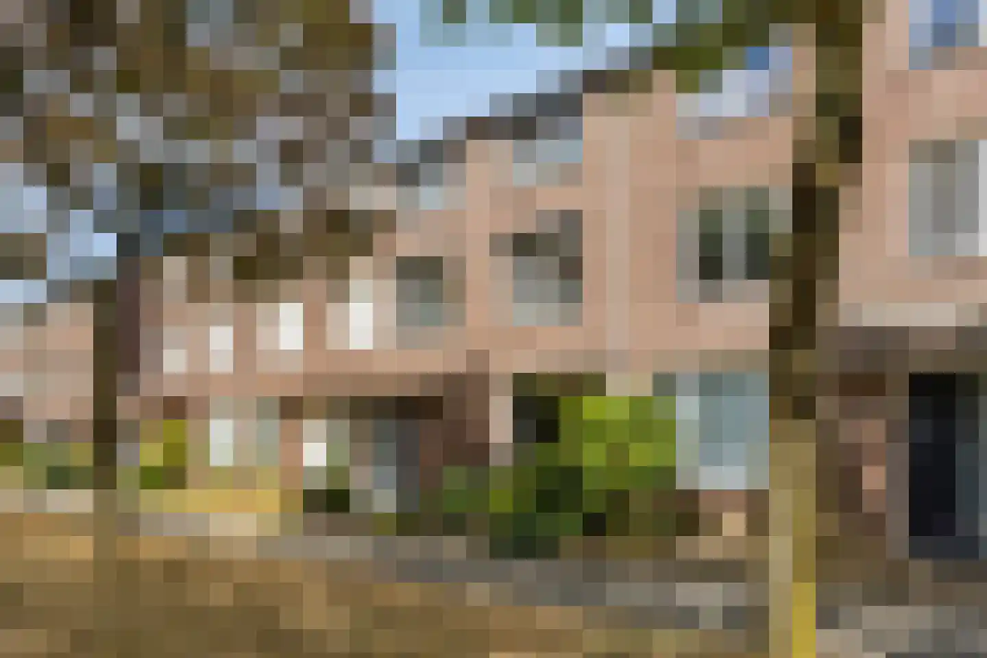 Seldensate 29 's-Hertogenbosch thumbnail 38