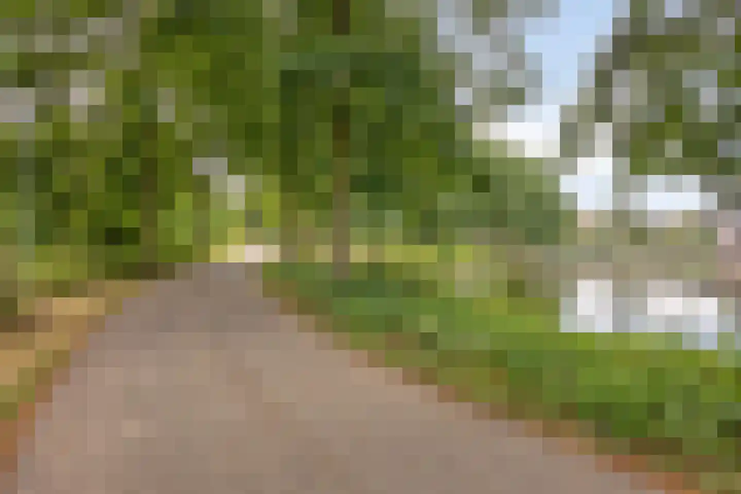 Seldensate 29 's-Hertogenbosch thumbnail 41