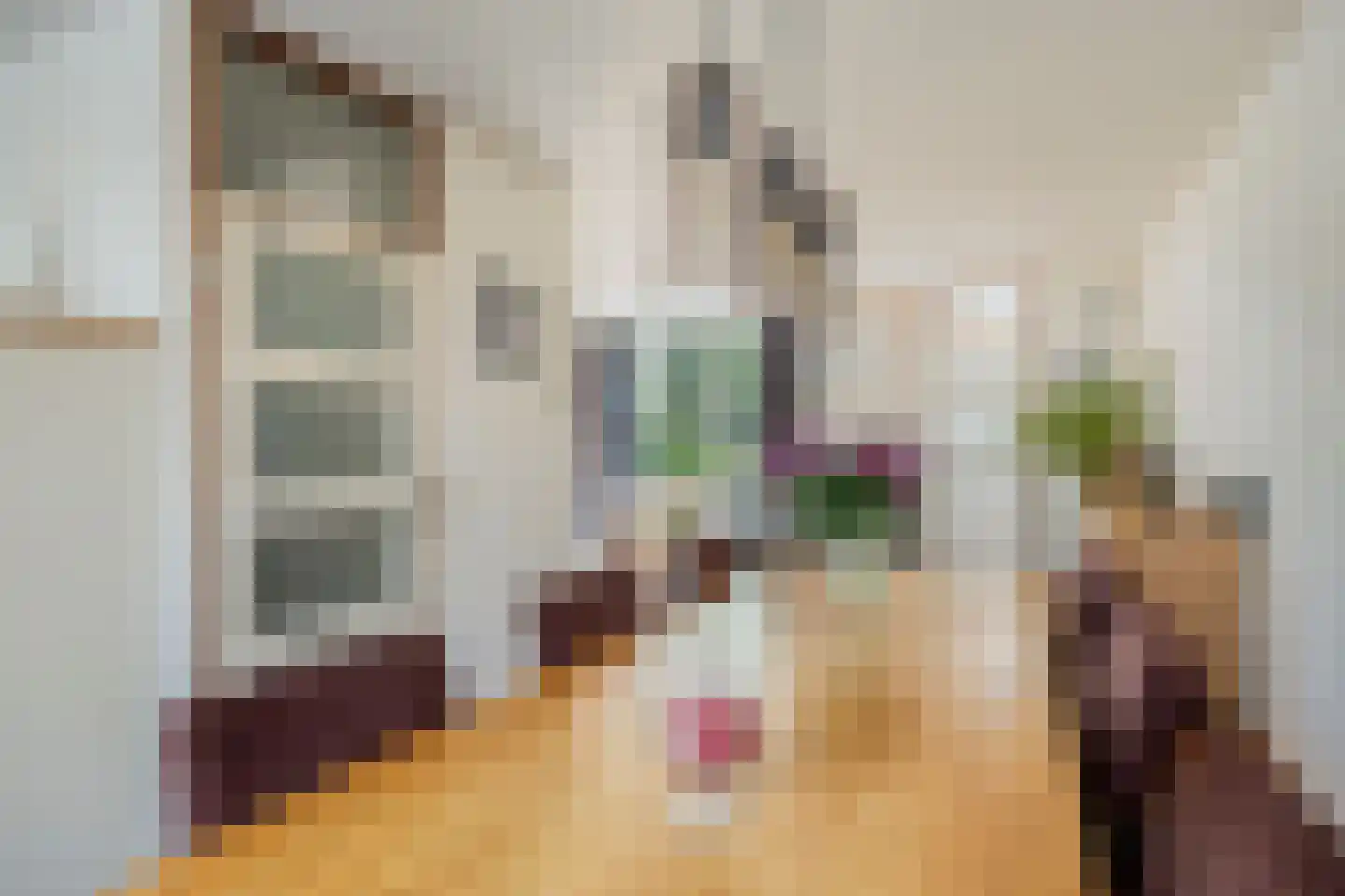 Seldensate 29 's-Hertogenbosch thumbnail 8