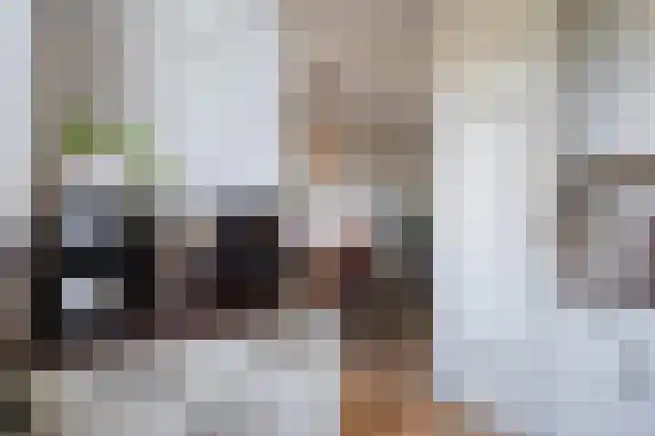 Seldensate 3 's-Hertogenbosch thumbnail 10