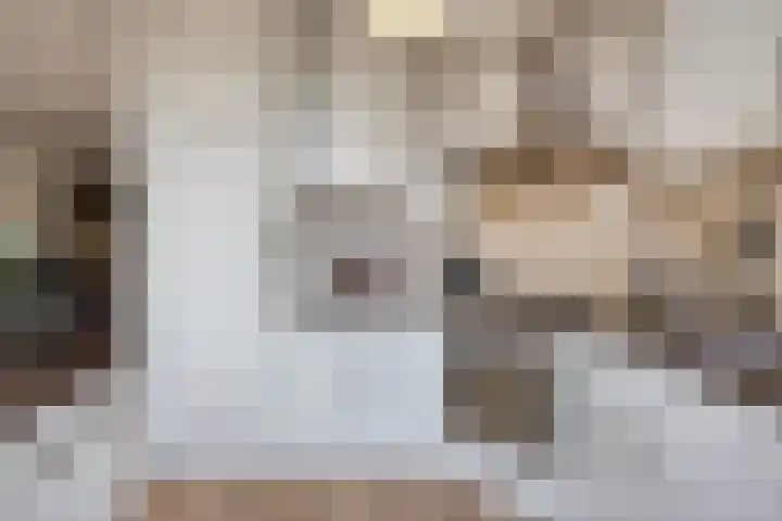 Seldensate 3 's-Hertogenbosch thumbnail 11