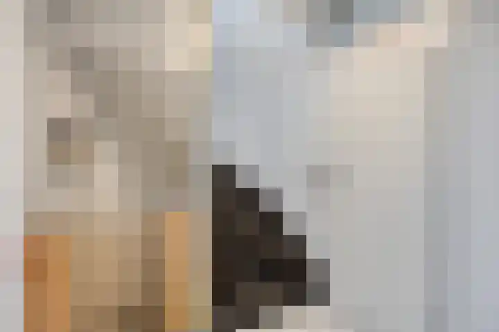 Seldensate 3 's-Hertogenbosch thumbnail 13