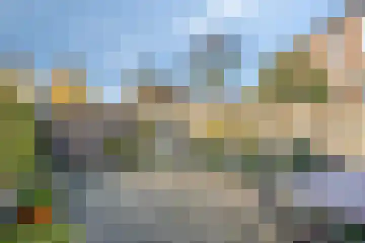 Seldensate 3 's-Hertogenbosch thumbnail 27