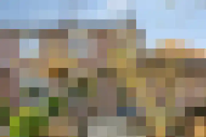 Seldensate 3 's-Hertogenbosch thumbnail 30