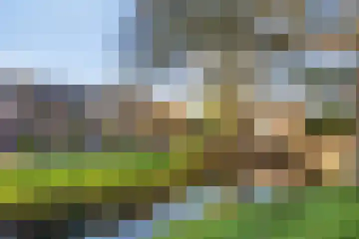 Seldensate 3 's-Hertogenbosch thumbnail 31