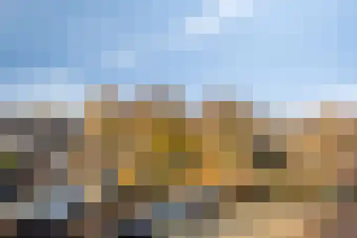 Seldensate 3 's-Hertogenbosch thumbnail 32