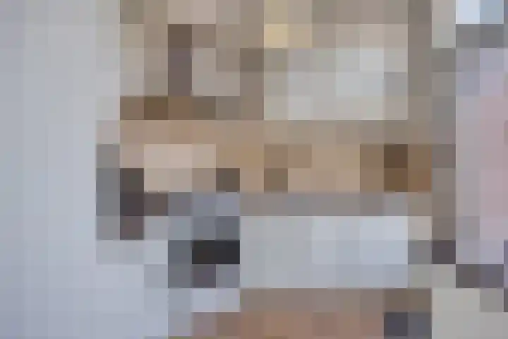 Seldensate 3 's-Hertogenbosch thumbnail 9
