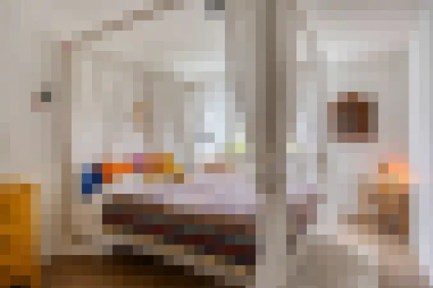 Seldensate 31 's-Hertogenbosch thumbnail 16