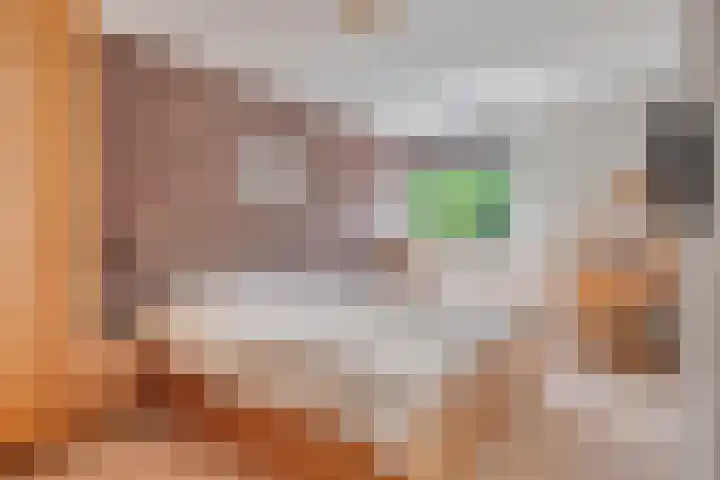 Seldensate 35 's-Hertogenbosch thumbnail 14
