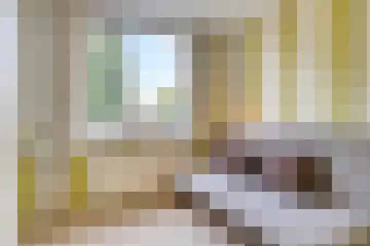 Seldensate 35 's-Hertogenbosch thumbnail 18