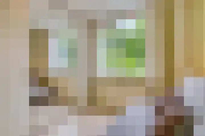 Seldensate 35 's-Hertogenbosch thumbnail 19