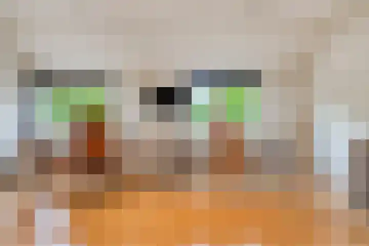 Seldensate 35 's-Hertogenbosch thumbnail 23