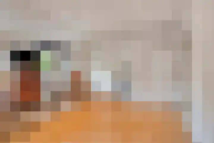 Seldensate 35 's-Hertogenbosch thumbnail 24