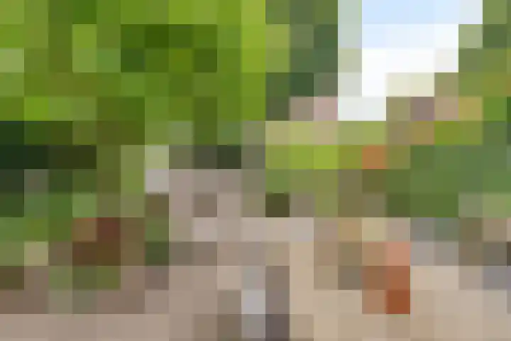 Seldensate 35 's-Hertogenbosch thumbnail 27