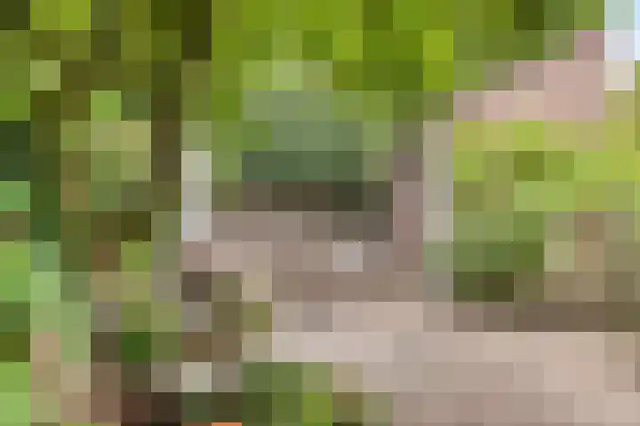 Seldensate 35 's-Hertogenbosch thumbnail 28