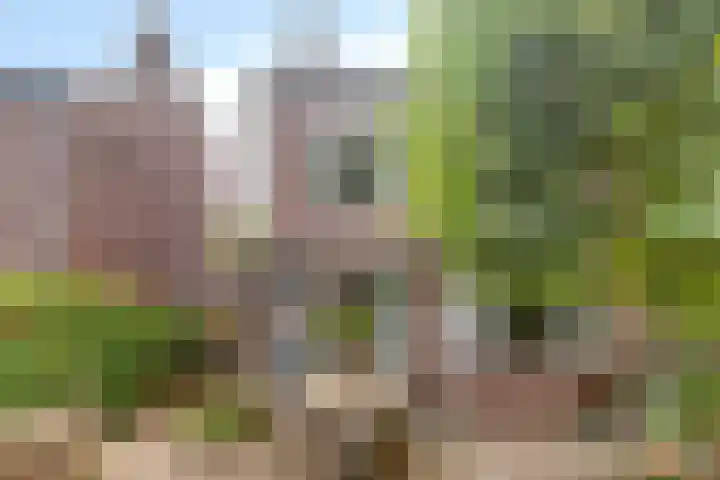 Seldensate 35 's-Hertogenbosch thumbnail 30