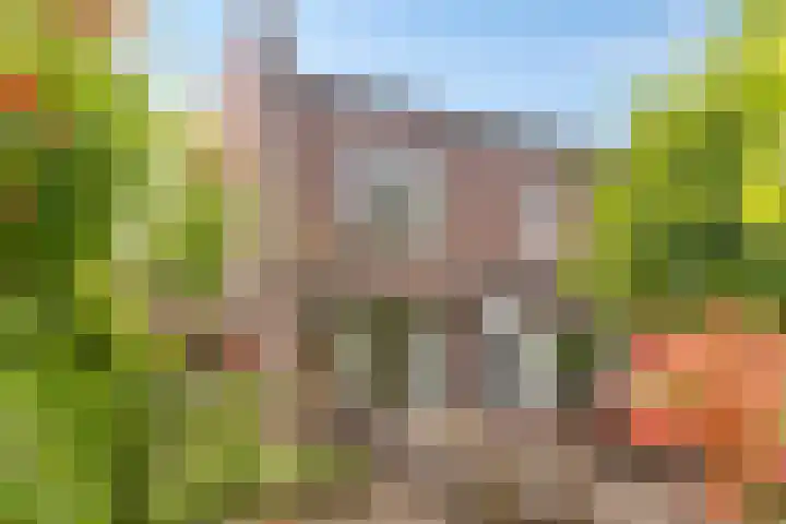 Seldensate 35 's-Hertogenbosch thumbnail 31
