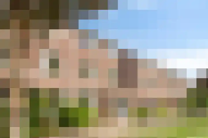 Seldensate 35 's-Hertogenbosch thumbnail 33