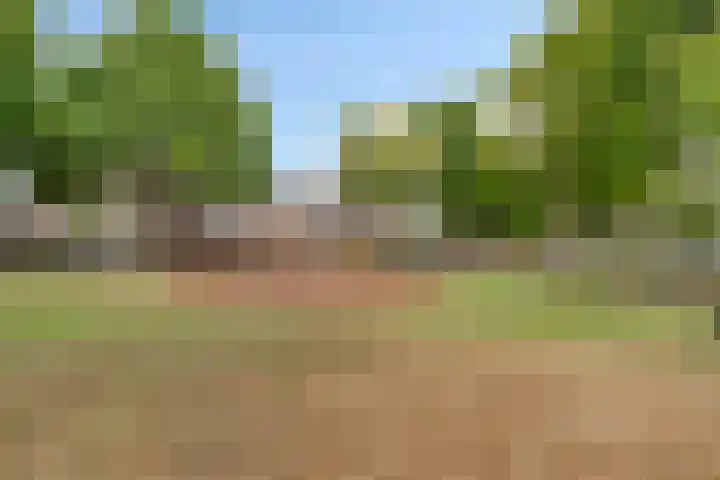Seldensate 35 's-Hertogenbosch thumbnail 35
