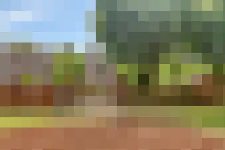 Seldensate 35 's-Hertogenbosch thumbnail 36