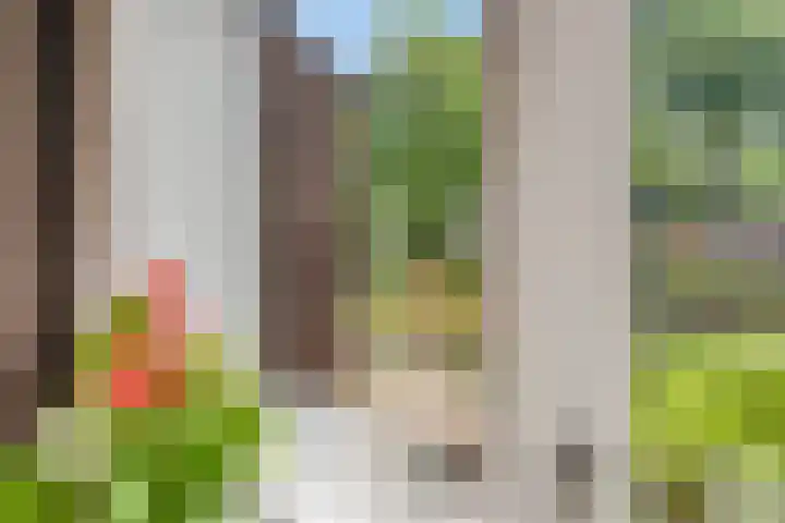 Seldensate 35 's-Hertogenbosch thumbnail 5