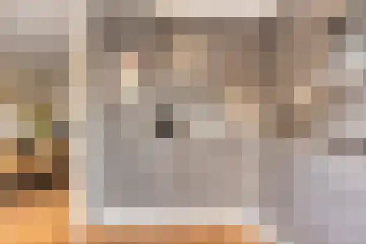 Seldensate 47 's-Hertogenbosch thumbnail 14