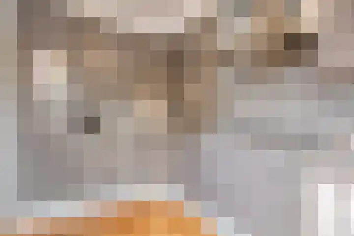 Seldensate 47 's-Hertogenbosch thumbnail 15