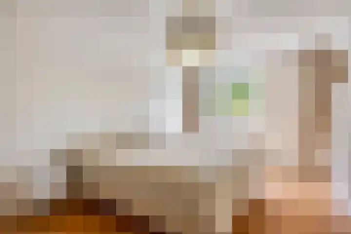 Seldensate 47 's-Hertogenbosch thumbnail 18