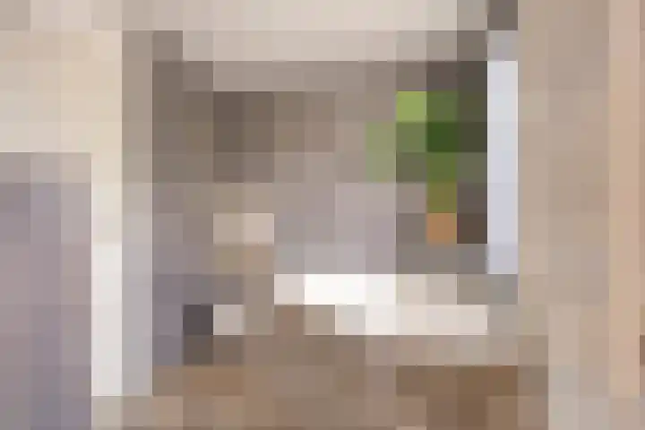 Seldensate 47 's-Hertogenbosch thumbnail 25