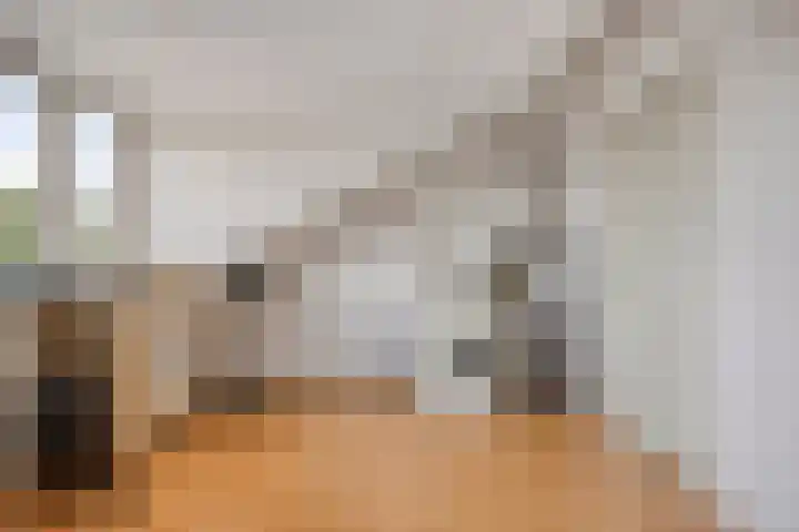 Seldensate 47 's-Hertogenbosch thumbnail 29